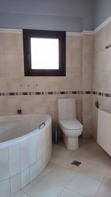 Chara'S Spacious And Bright Maisonette Argoulidhés 外观 照片